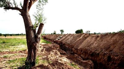 Trench dug out beside a tree