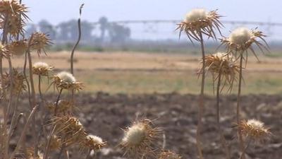 Dried out land in Iraq