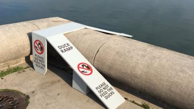 This picture of the duck ramp on The Capitol Reflecting Pool