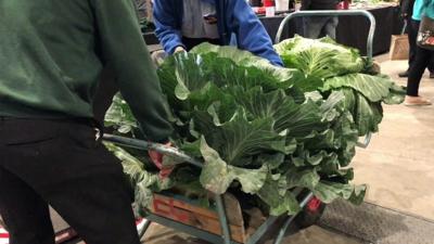 Large vegetables at Harrogate