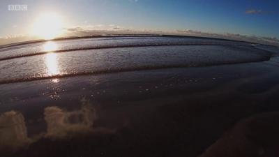Traigh