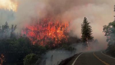 Flames and smoke coming from a forest