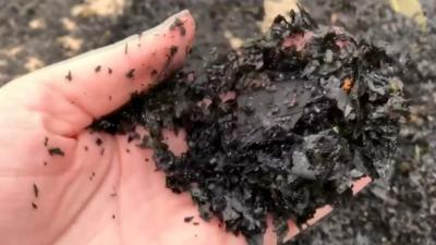 Imogen Brennan's hand holding a lump of black ash from the bushfire