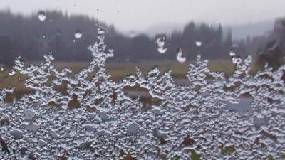 Snow falls on a window