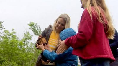 A family planting a tree