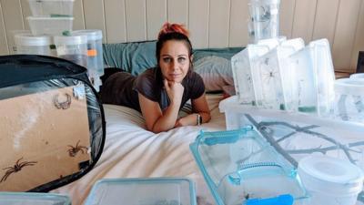 Caitlin Henderson with her collection of spiders