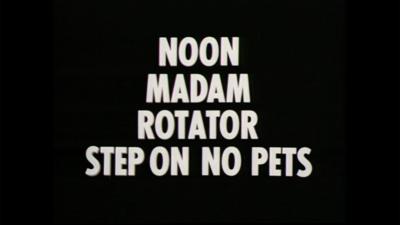 Palindrome text examples, including Noon, Madam, Rotator and the phrase, "step on no pets".