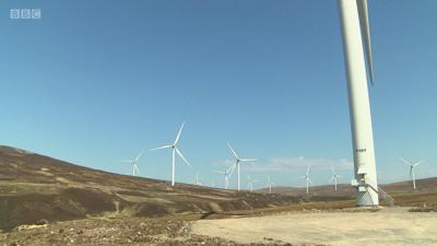 wind farm