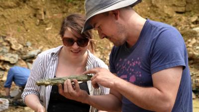 NHM paleontologists