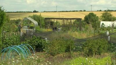 Wellesbourne Allotments