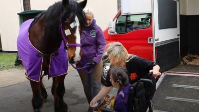 Rebecca and horse