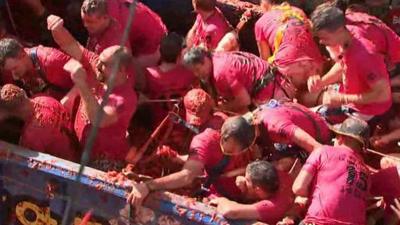 Tomato fight