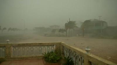 Wind-swept scene in Cuba