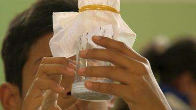 Child inspecting a jar full of mosquitoes