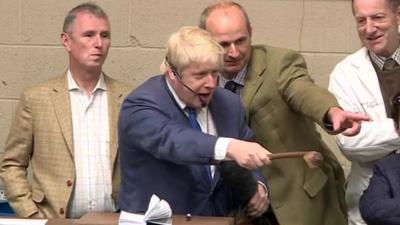 Boris Johnson auctions a cow