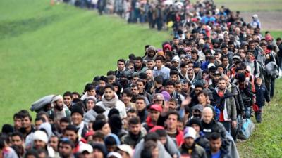 A stream of migrants crossing a field