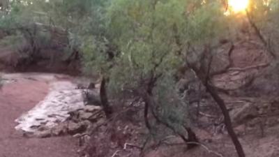 Video of a policeman reacting to the McKinlay River flowing in the drought-effected Australian state of Queensland has gone viral.