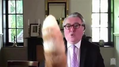 Rocco's tail and John Nicolson MP