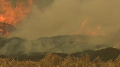 Crop burning in Delhi