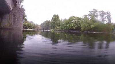 Thousands of fish dying in London rivers