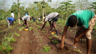 Farming students in the field