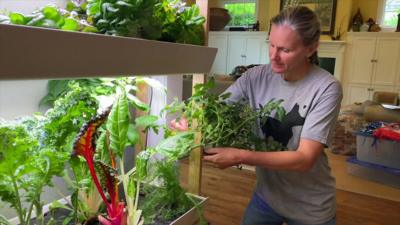 A woman using an indoor vertical farm