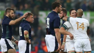 Scotland commiserate, South Africa Celebrate