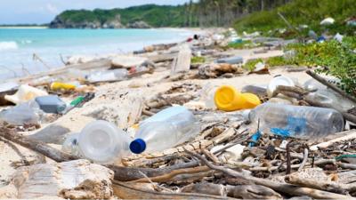 Plastic bottles on a beach.