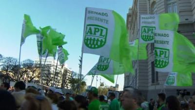 Flags flying at a rally