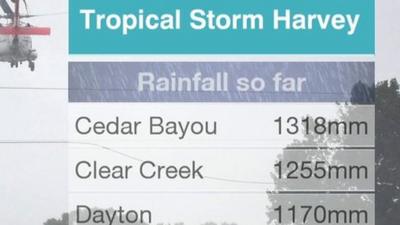 Harvey rainfall chart