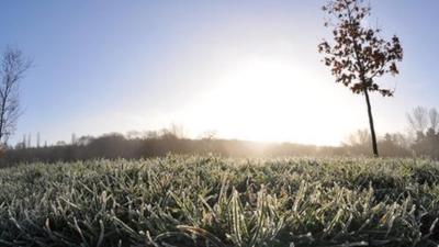 Frost on the grass with sunrise in the background