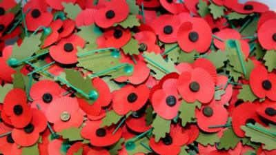 Remembrance poppies