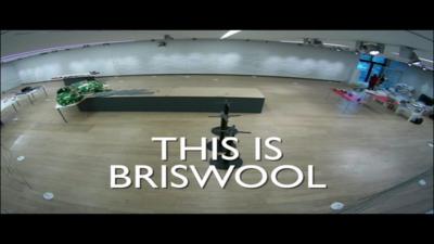 Briswool