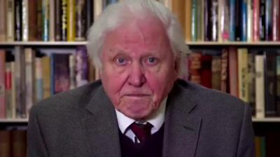 David Attenborough