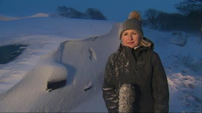 Sian Lloyd with buried car