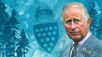 Prince Charles illustration