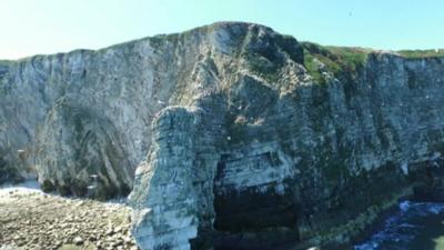 Bempton cliffs