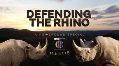 Defending the Rhino trailer image