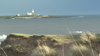 Coquet Island