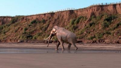 Mammoth on West Runton beach