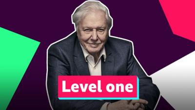 David Attenborough