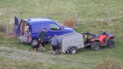 Farmer David William Lloyd Thomas has been jailed for 24-weeks for mistreating animals