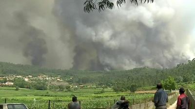 Woodland spews smoke in Portugal as one of hundreds of wildfires blazes