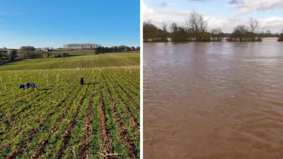 Split screen of farm before and after flood