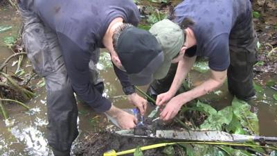 Peatlands in Democratic Republic of Congo