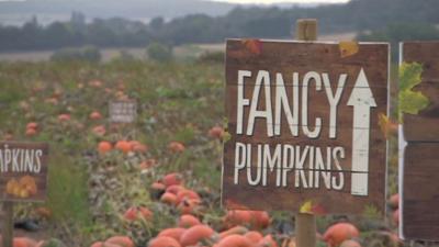 Pumpkin sign