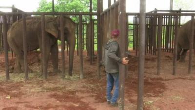 Maia and Guida have been set free in their new 2,800 acre home