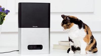 Petcube