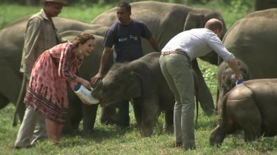 The Duke and Duchess of Cambridge feed elephants in India