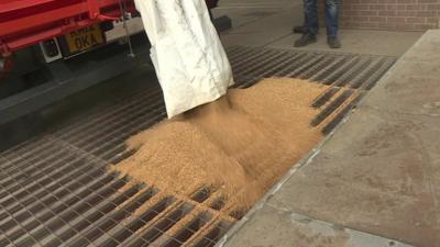 Grain being unloaded